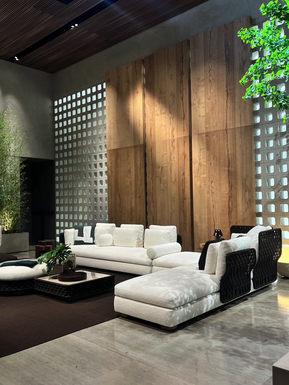 Minotti-Sagaseta-2