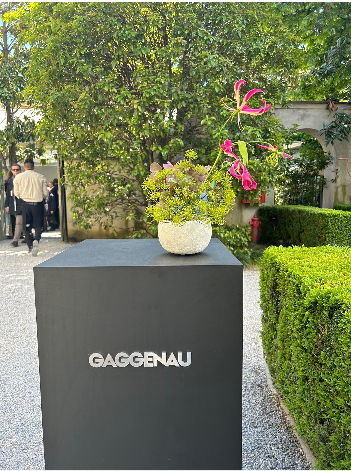 gaggeneau-sagaseta-